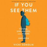 IF YOU SEE THEM, Vicki Sokolik