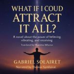 WHAT IF I COULD ATTRACT IT ALL?, Gabriel Solairet
