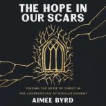 The Hope in Our Scars, Aimee Byrd