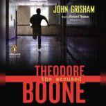 Theodore Boone the Accused, John Grisham