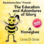 The Education and Adventures of Glory..., Linda Di Gloria