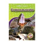 Cottonmouths, Colleen Sexton