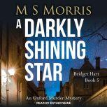A Darkly Shining Star, M S Morris