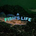 A Fishs Life A Tale of Unlikely Fri..., Aidan Doak