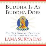 Buddha Is As Buddha Does, Lama Surya Das