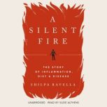 A Silent Fire, Shilpa Ravella
