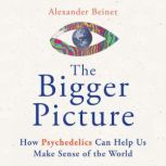 The Bigger Picture, Alexander Beiner