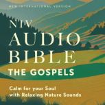NIV Audio Bible, The Gospels Calm fo..., Zondervan