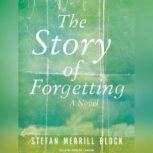 The Story of Forgetting, Stefan Merrill Block