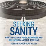 Seeking Sanity, Joseph DeNicholas MBA, LCSW
