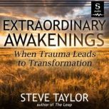 Extraordinary Awakenings, Steve Taylor