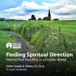 Finding Spiritual Direction How to F..., Joseph A. Tetlow