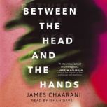 Between the Head and the Hands, James Chaarani