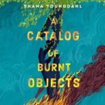 A Catalog of Burnt Objects, Shana Youngdahl