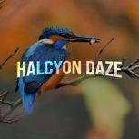 Halcyon Daze, Alexandra PearceBroomhead