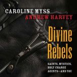 Divine Rebels, Andrew Harvey
