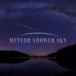 Meteor Shower Sky, Angie Caneva