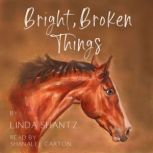 Bright, Broken Things, Linda Shantz
