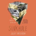 Sinkhole The Legacy of a Suicide, Juliet Patterson