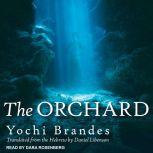 The Orchard, Yochi Brandes