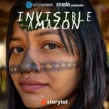 Invisible Amazon  the whole story, Estadao