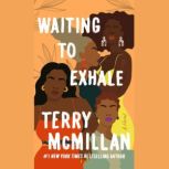 Waiting to Exhale, Terry McMillan
