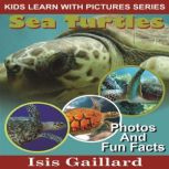 Sea Turtles, Isis Gaillard
