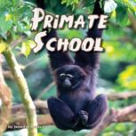 Primate School, Jennifer Keats Curtis