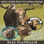 Moose Photos and Fun Facts for Kids, Isis Gaillard