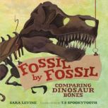 Fossil by Fossil, Sara Levine