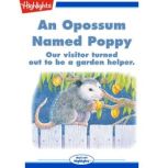 An Opossum Named Poppy, Fay Munier