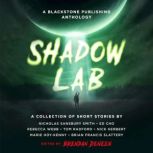 Shadow Lab, Brendan Deneen