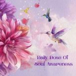 Audio Companion To The Daily Dose Of ..., Diana Adamko