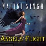 Angels Flight, Nalini Singh