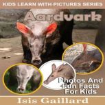 Aardvarks Photos and Fun Facts for Kids, Isis Gaillard