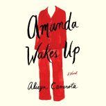 Amanda Wakes Up, Alisyn Camerota