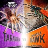 Tarantula vs. Tarantula Hawk, Lindsy OBrien