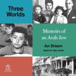 Three Worlds, Avi Shlaim