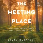 The Meeting Place, Laura Kauffman