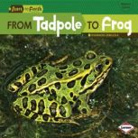 From Tadpole to Frog, Shannon Zemlicka
