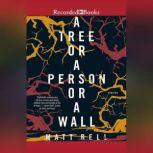 A Tree or a Person or a Wall Stories, Matt Bell