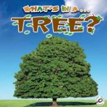 Whats In A Tree?, Tracy N. Maurer