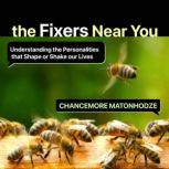 The Fixers Near You, Chancemore Matonhodze