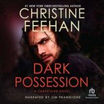 Dark Possession, Christine Feehan