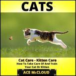 Cats: Cat Care: Kitten Care: How To Take Care Of And Train Your Cat Or Kitten, Ace McCloud