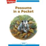 Possums in a Pocket, Susan Kuehn