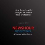 How Trumps tariffs changed the fates..., PBS NewsHour