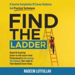Find The Ladder, Nadeem Lutfullah