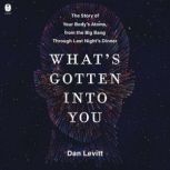 Whats Gotten Into You, Dan Levitt