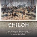 Shiloh The History of the First Majo..., Jonathan GianosSteinberg